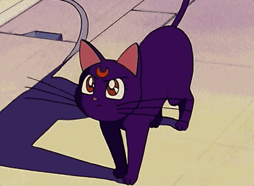 Sailor Moon Black GIF