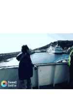 Sailor Moon Salute Sticker