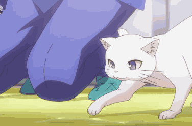 Sakurasou No Pet Na Kanojo Sakurasou GIF