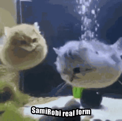 Samirobi Canon Funny GIF