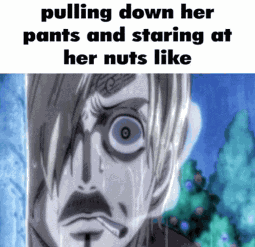 Sanji Pulling Down Pants Meme