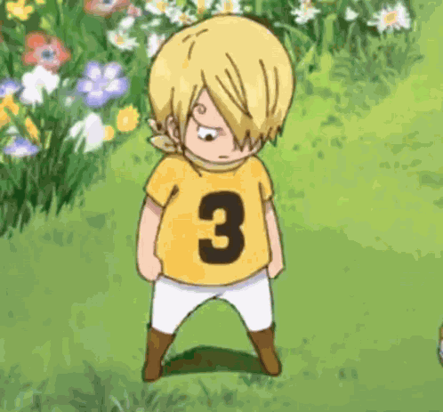 Sanji Sanjisalsa GIF