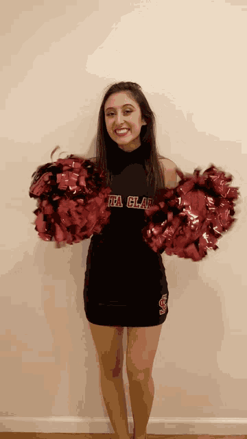Santa Clara University Santa Clara Broncos GIF