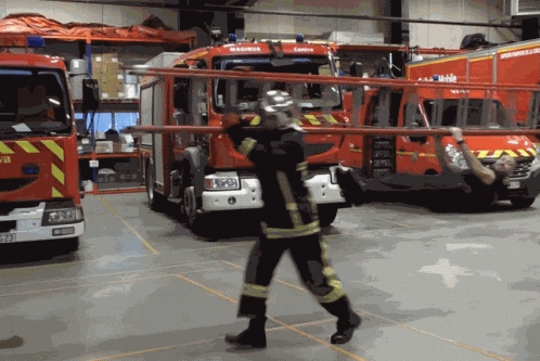 Sarce Pomplard GIF