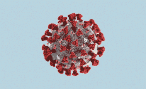 Sarscov2 GIF