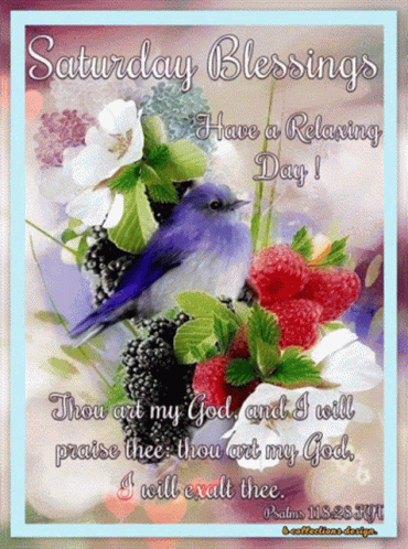Saturday Blessings GIF