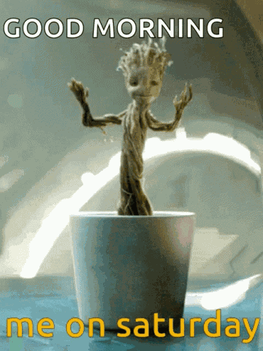 Saturday Dance GIF