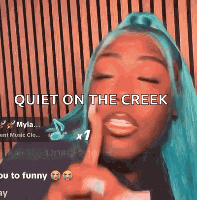 Saucy Santana Creek GIF