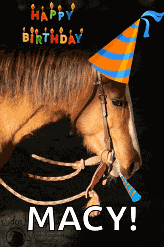 Save A Forgotten Equine Safe GIF