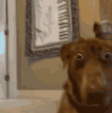 Say Whaaat GIF