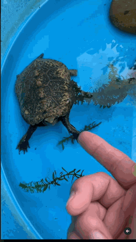 Science Adorable GIF