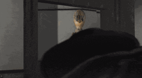 Scp 049 Vs Scp 106 Scp GIF