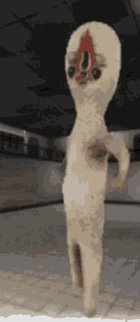 Scp Peanut GIF