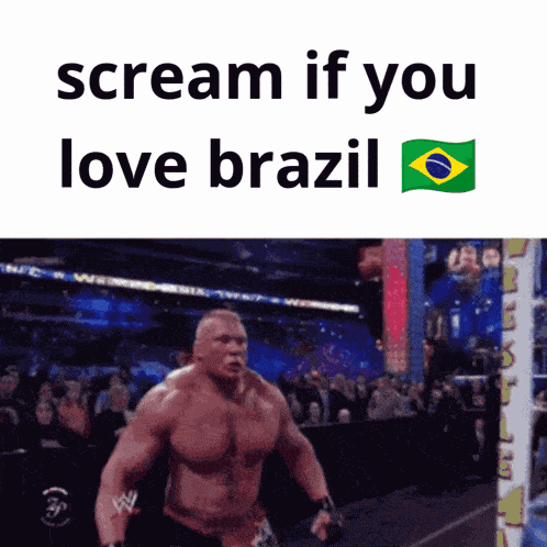 Scream If You Love Brazil Brasil GIF
