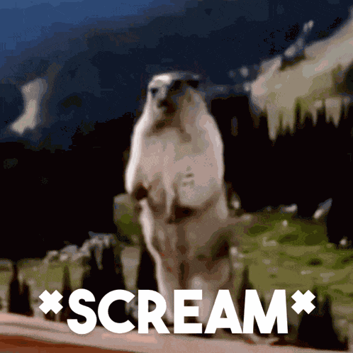 Screaming Gif Angry GIF