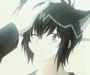 Scuba Cat GIF