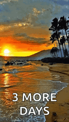 Sea Beach GIF