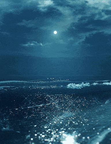 Sea Sun GIF