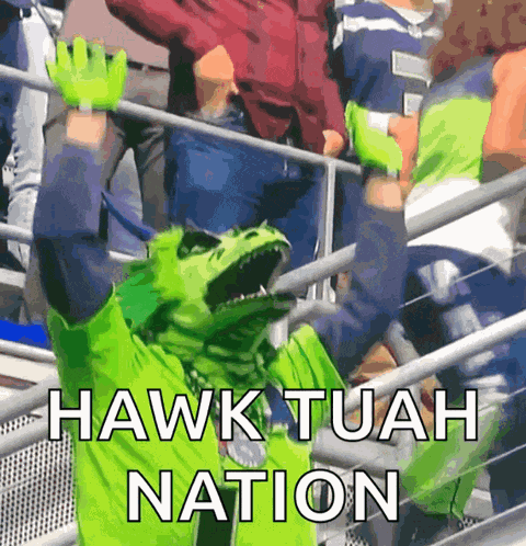 Seahawks Seattle GIF