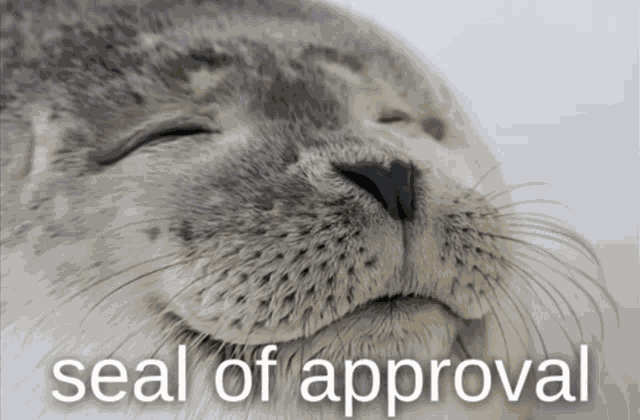 Seal Of Approval Meme