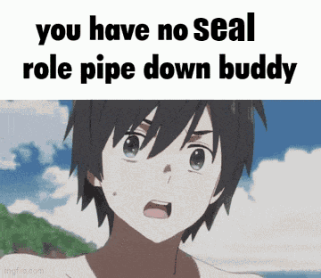 Seal Seals GIF