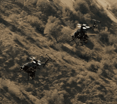 Seal Team Flying GIF