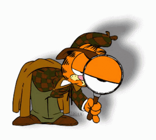 Searching Garfield GIF