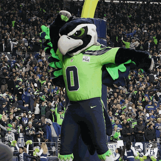 Seattle Seahawks Blitz GIF