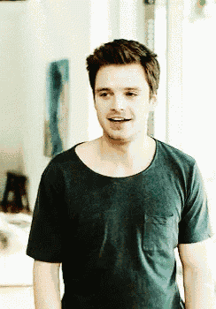 Sebby Sebastian Stan GIF