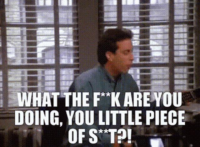 Seinfeld What The F Are You Doing GIF