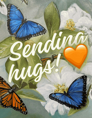 Sending Hugs Butterflies Meme