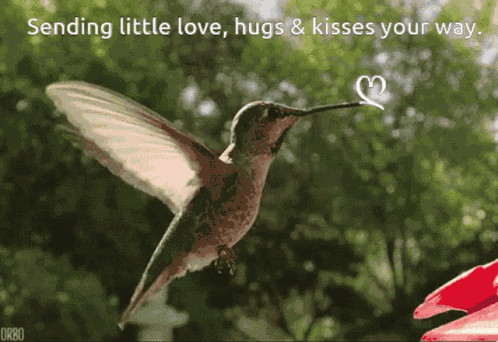 Sending Little Love Heart GIF