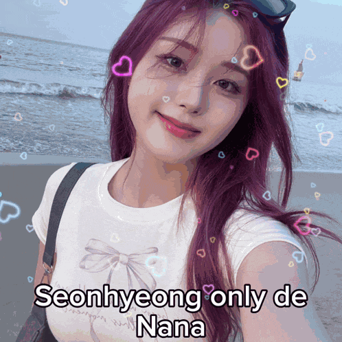 Seonhyeong Seonhyeong De Nana GIF