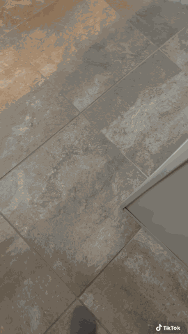 Seponelocaconeltiktok Funny Animals GIF