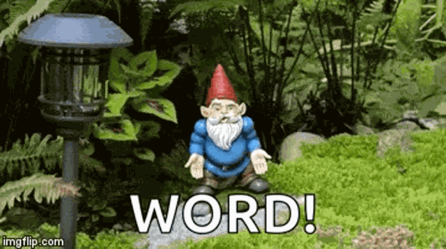 Seriously Come On GIF