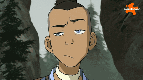 Seriously Sokka GIF