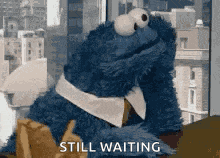 Sesame Street Cookie Monster GIF