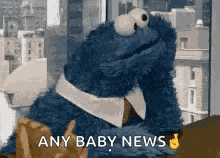 Sesame Street Cookie Monster GIF