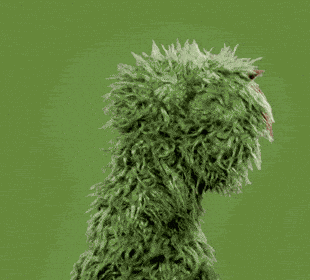 Sesame Street Oscar The Grouch GIF