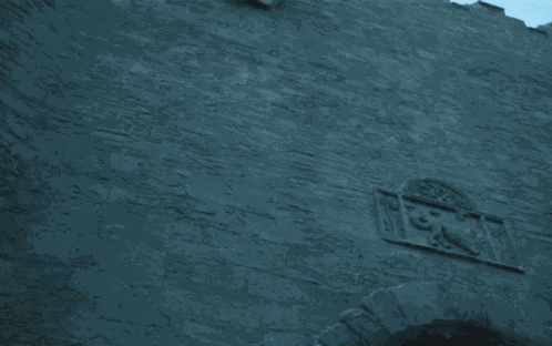 Seshiva Stark GIF