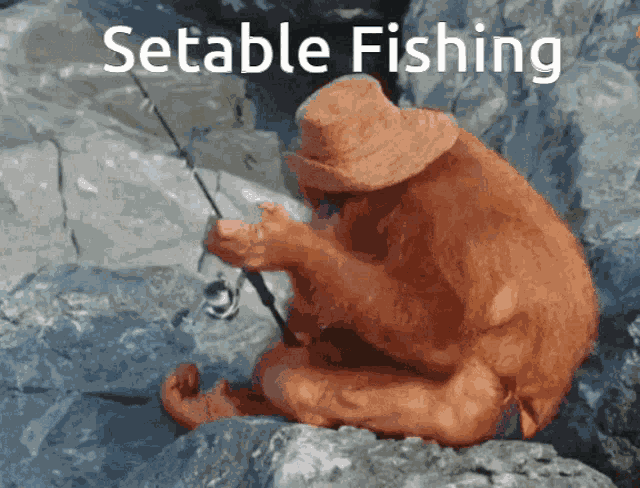 Setable Fishing GIF