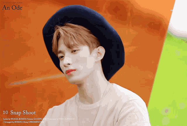 Seventeen Dk GIF