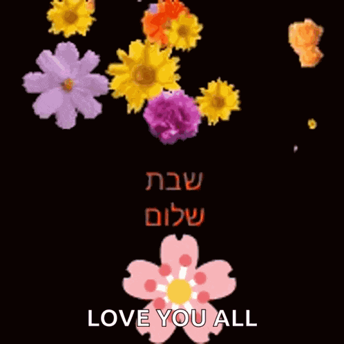 Shabat Shalom GIF
