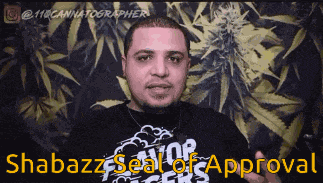 Shabazz Seal Of Approval GIF
