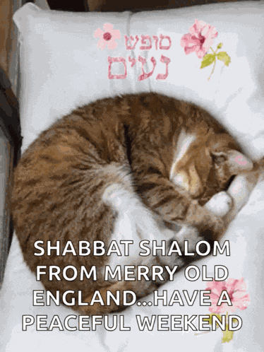Shabbat Shalom GIF