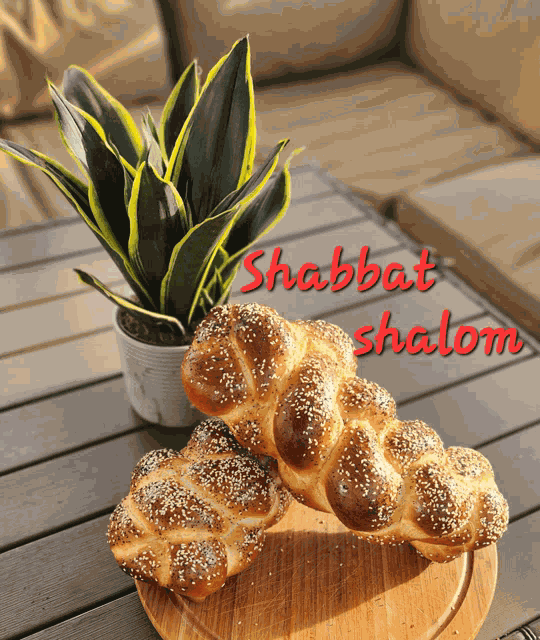 Shabbat Shalom Meme