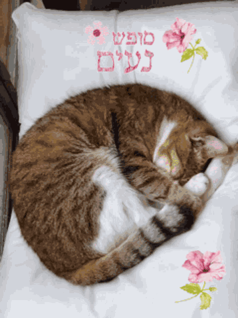 Shabbat Shalom GIF