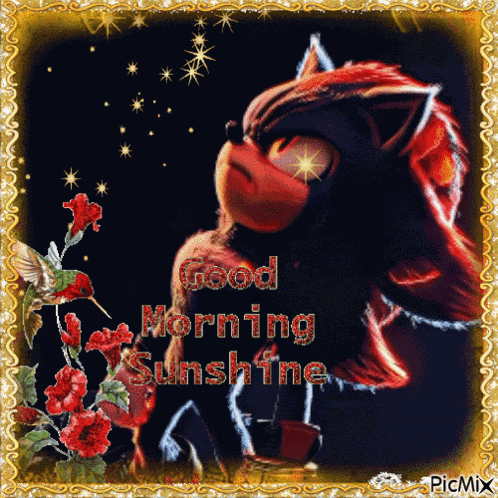 Shadow The Hedgehog Good Morning GIF