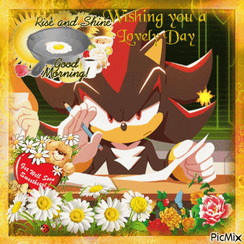 Shadow The Hedgehog Good Morning GIF
