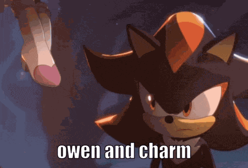 Shadow The Hedgehog Rouge The Bat GIF